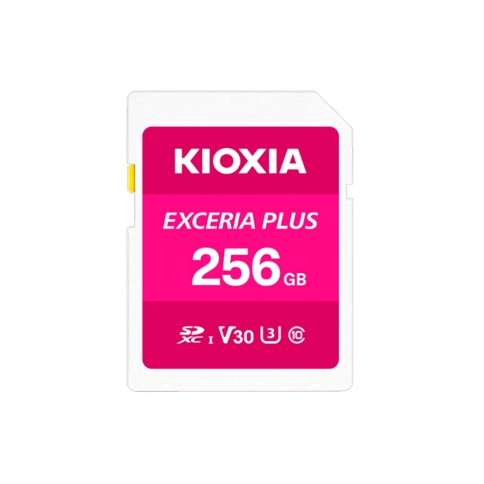 Карта памяти KIOXIA LNPL1M256GG4 KIOXIA LNPL1M256GG4